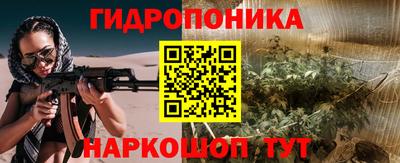 индика Кинель