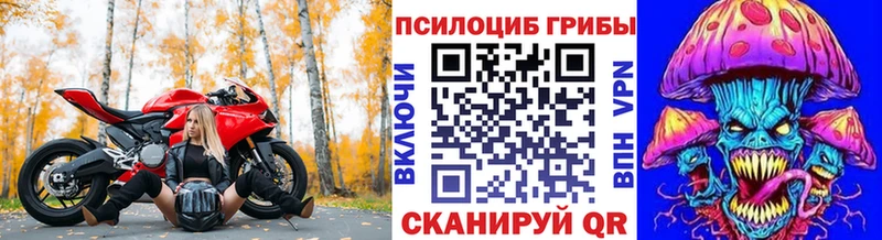 Псилоцибиновые грибы GOLDEN TEACHER Красноуфимск